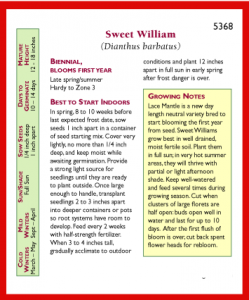 sweet william directions