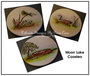 Moon Lake Coasters 3