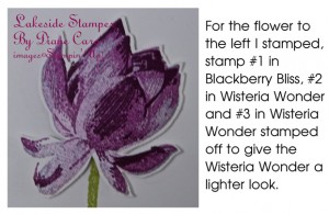 Lotus Blossom Flower Detail