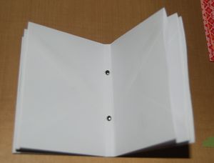 Trimmed Envelopes with Brads 1