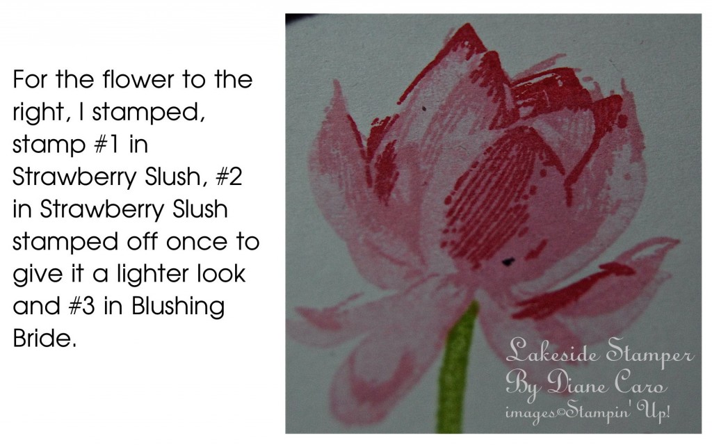 Lotus Flower Strawberry Slush