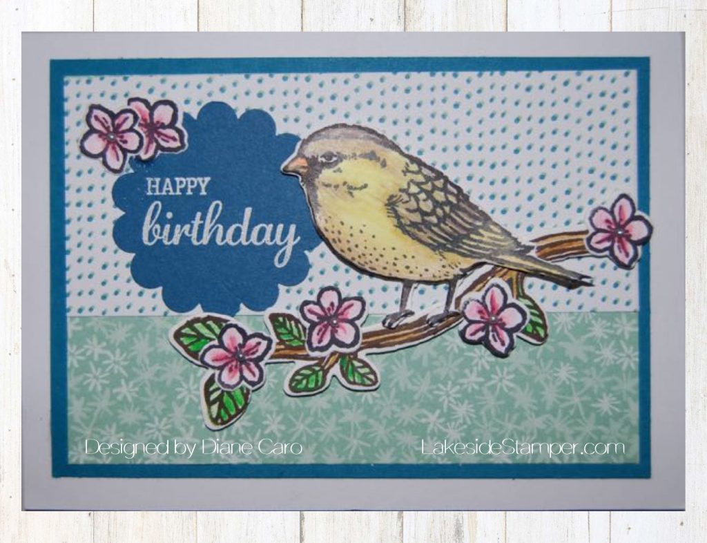 best-birds-happy-birthday-card