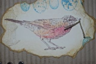 Bird Detail-Textile Class 4:12:11